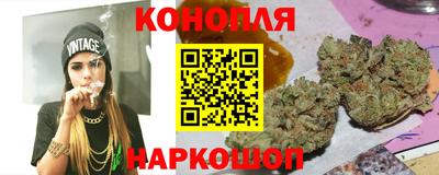 крисы Краснодар