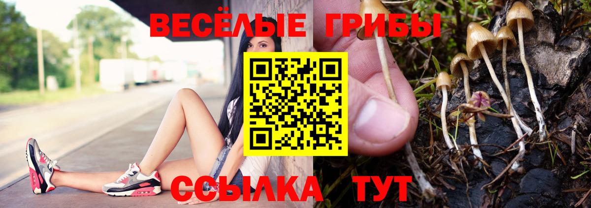 Псилоцибиновые грибы Cubensis Егорьевск