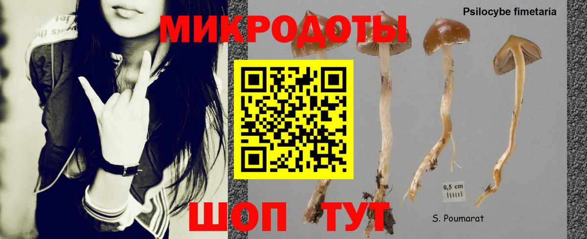 Псилоцибиновые грибы ЛСД  Вход с VPN  Егорьевск 